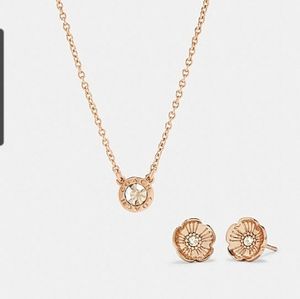 Coach rose goldtone necklace and earrings